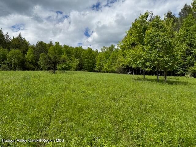 0 Van Etten Road, Lexington, NY 12452