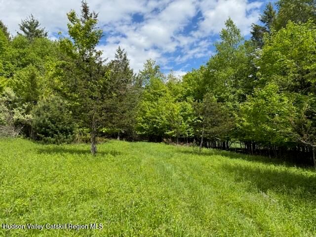 0 Van Etten Road, Lexington, NY 12452