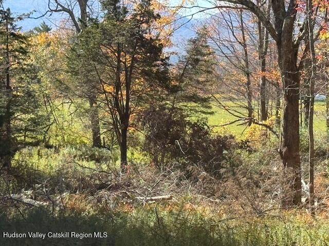 0 Van Etten Road, Lexington, NY 12452