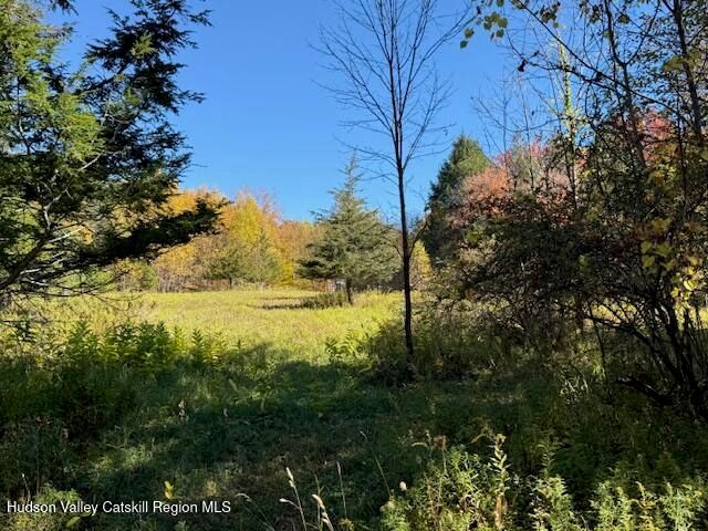 0 Van Etten Road, Lexington, NY 12452