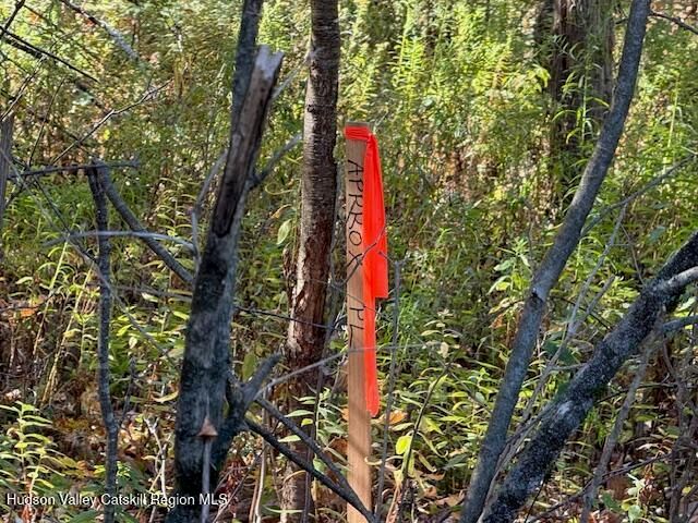 0 Van Etten Road, Lexington, NY 12452