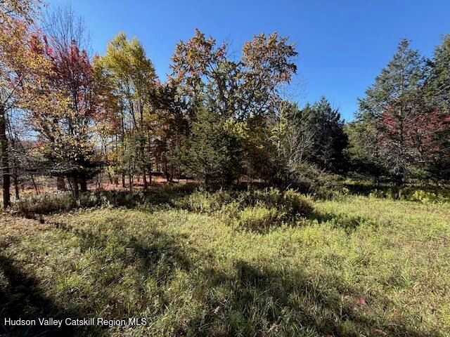 0 Van Etten Road, Lexington, NY 12452