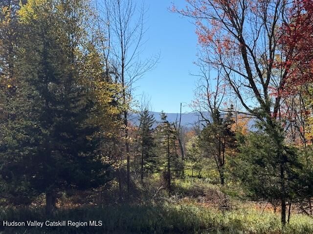 0 Van Etten Road, Lexington, NY 12452