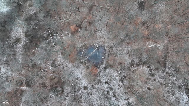 7000 S Us Highway 231, Freedom, IN 47431