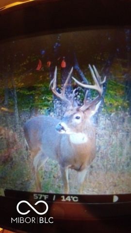 7000 S Us Highway 231, Freedom, IN 47431