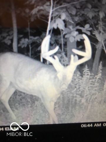 7000 S Us Highway 231, Freedom, IN 47431