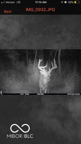 7000 S Us Highway 231, Freedom, IN 47431