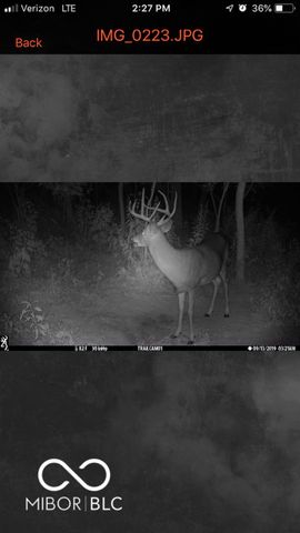 7000 S Us Highway 231, Freedom, IN 47431