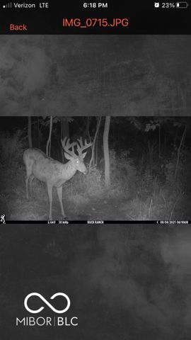 7000 S Us Highway 231, Freedom, IN 47431