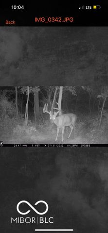 7000 S Us Highway 231, Freedom, IN 47431