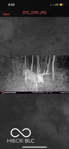 7000 S Us Highway 231, Freedom, IN 47431