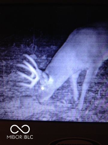 7000 S Us Highway 231, Freedom, IN 47431