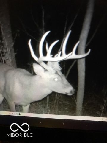 7000 S Us Highway 231, Freedom, IN 47431