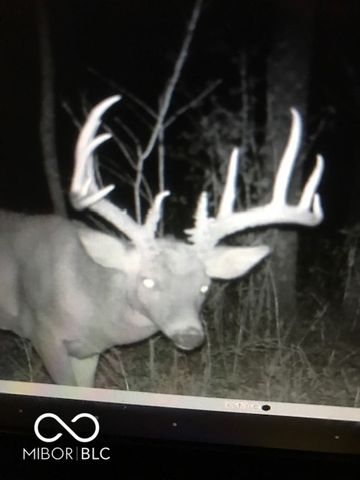 7000 S Us Highway 231, Freedom, IN 47431