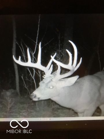 7000 S Us Highway 231, Freedom, IN 47431