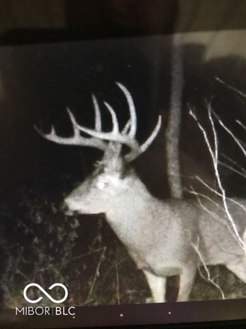 7000 S Us Highway 231, Freedom, IN 47431