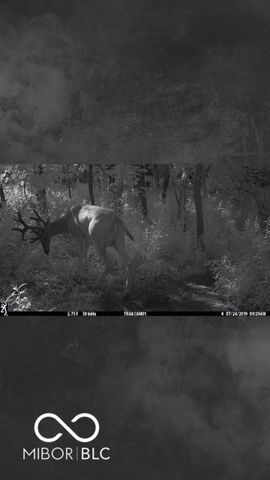 7000 S Us Highway 231, Freedom, IN 47431