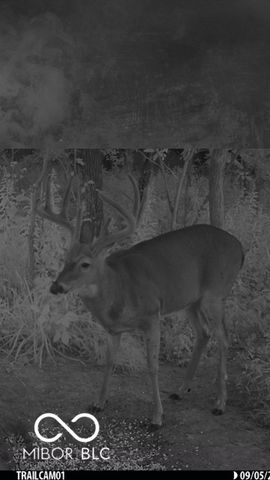 7000 S Us Highway 231, Freedom, IN 47431