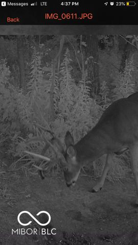 7000 S Us Highway 231, Freedom, IN 47431