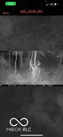 7000 S Us Highway 231, Freedom, IN 47431