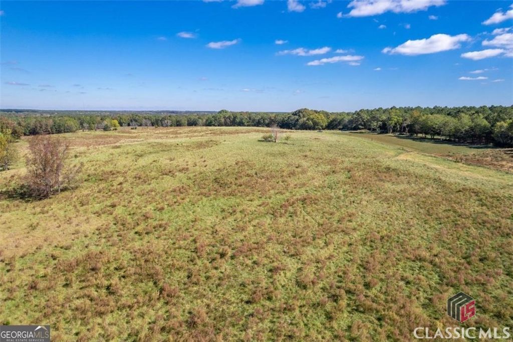 Image 3 of property listing at lot 14 Wallace Road, Madison, GA 30650