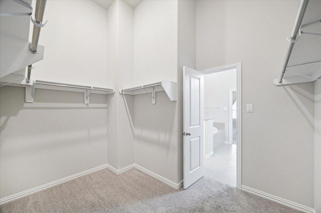 28418 Asher Falls Lane Lane, Fulshear, TX 77441