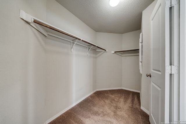 10307 Owl Woods, Schertz, TX 78154