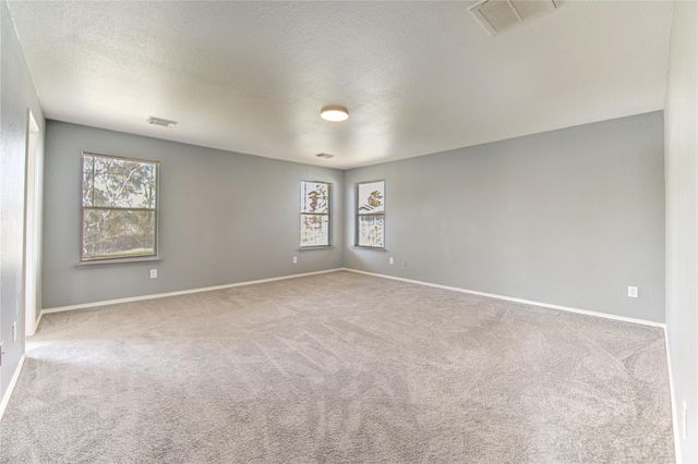 22919 Twisting Maple Court, Spring, TX 77373