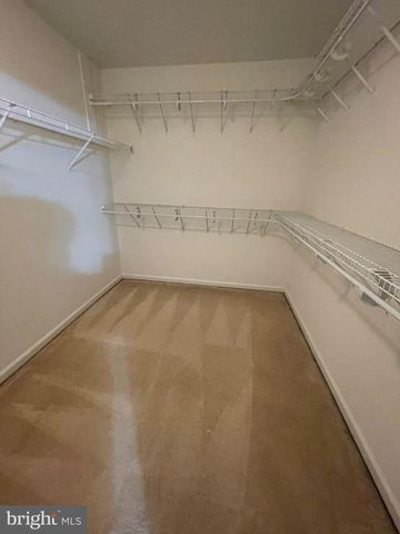 6256 SHACKELFORD TER, Alexandria, VA 22312