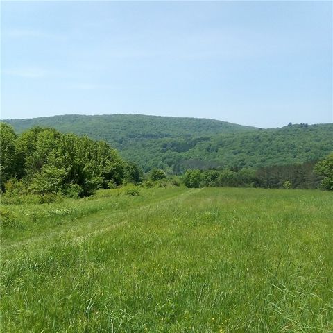 3190 County Highway 22, Walton, NY 13856