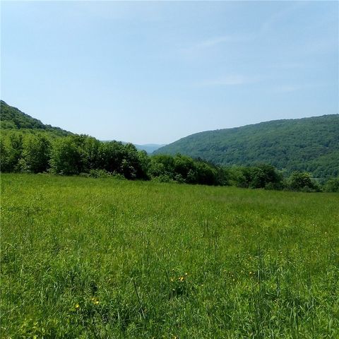 3190 County Highway 22, Walton, NY 13856