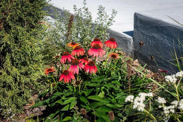 4043 Serenbe Street, Middleton, WI 53562