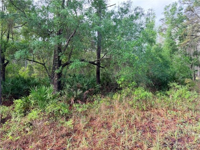 7494 W Nadel Drive, Crystal River, FL 34428