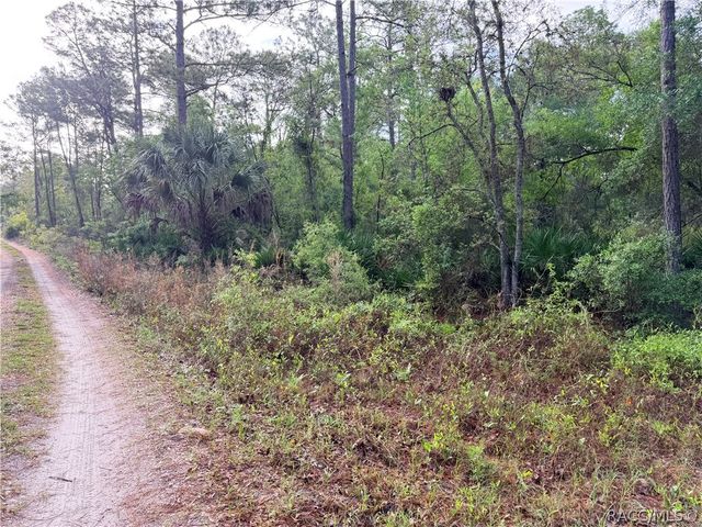 7494 W Nadel Drive, Crystal River, FL 34428