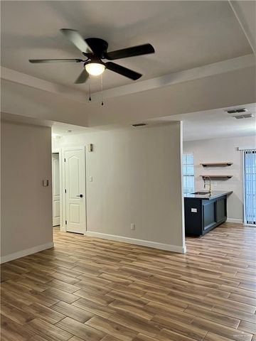 1711 Tampa Street, Edinburg, TX 78541