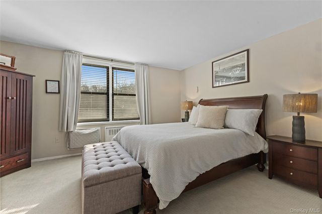 60 Barker Street 317, Mount Kisco, NY 10549