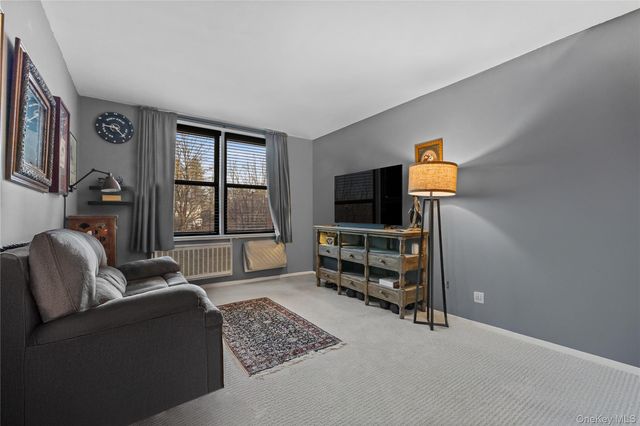 60 Barker Street 317, Mount Kisco, NY 10549