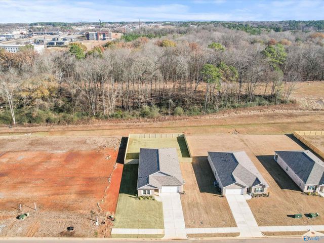 1251 Eidson Street, Athens, AL 35611