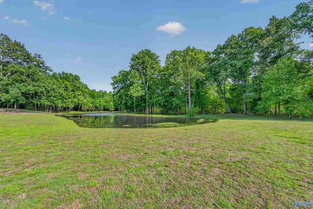 230 Twin Lakes Drive, New Market, AL 35761