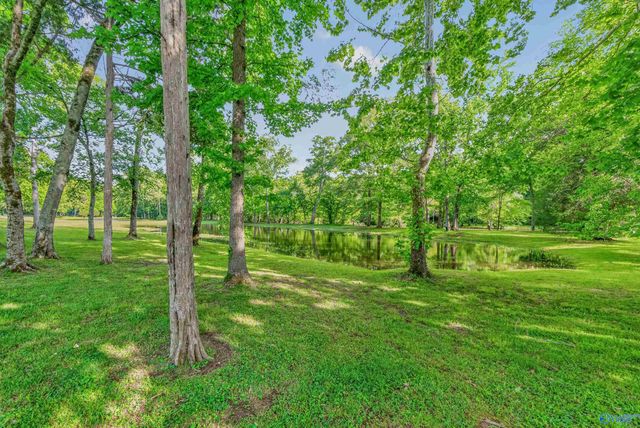 230 Twin Lakes Drive, New Market, AL 35761