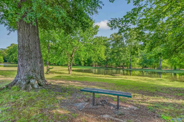 230 Twin Lakes Drive, New Market, AL 35761