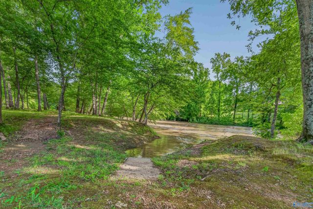 230 Twin Lakes Drive, New Market, AL 35761