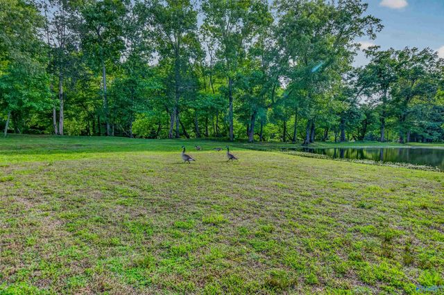 230 Twin Lakes Drive, New Market, AL 35761
