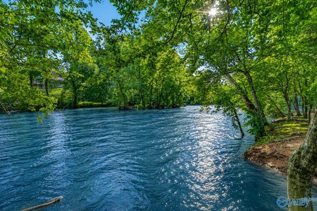 230 Twin Lakes Drive, New Market, AL 35761