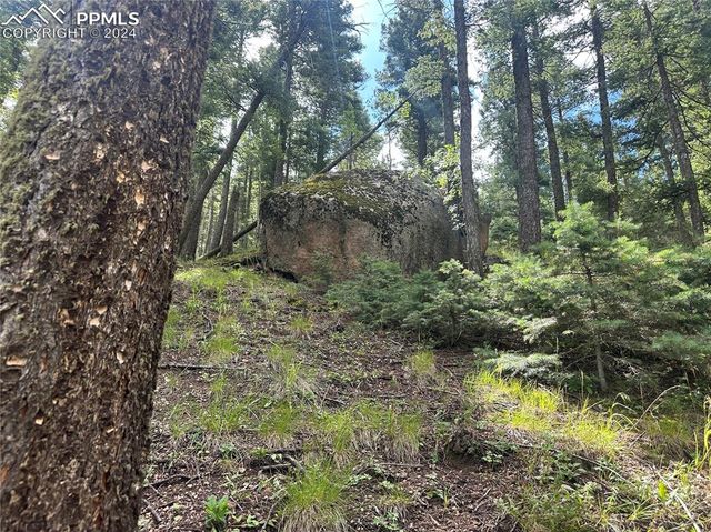 272 Fern Valley Road, Manitou Springs, CO 80829