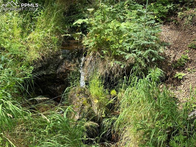 272 Fern Valley Road, Manitou Springs, CO 80829