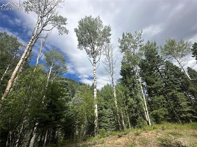 272 Fern Valley Road, Manitou Springs, CO 80829