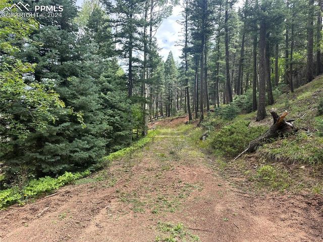 272 Fern Valley Road, Manitou Springs, CO 80829