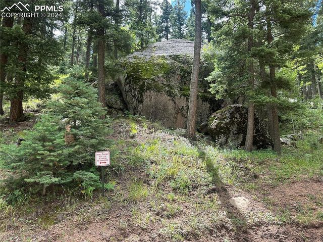 272 Fern Valley Road, Manitou Springs, CO 80829