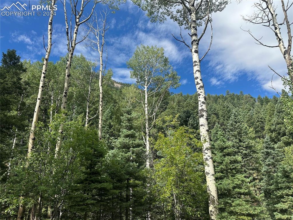 272 Fern Valley Road, Manitou Springs, CO 80829 — photo 2